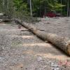 80 feet of logs,18 feet of firewood